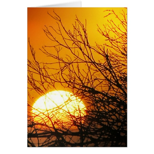 Solnedgång Hälsningskort (Framsidan)