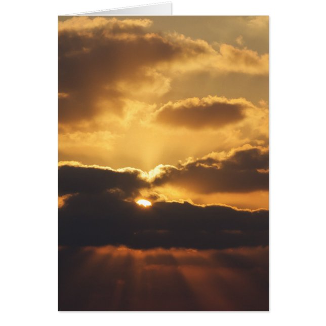 Solnedgång Hälsningskort (Framsidan)