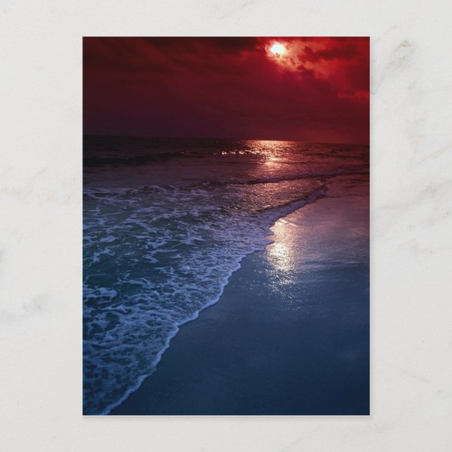 Solnedgång, hav, sand, kustland, Florida, USA Vykort (Framsida)