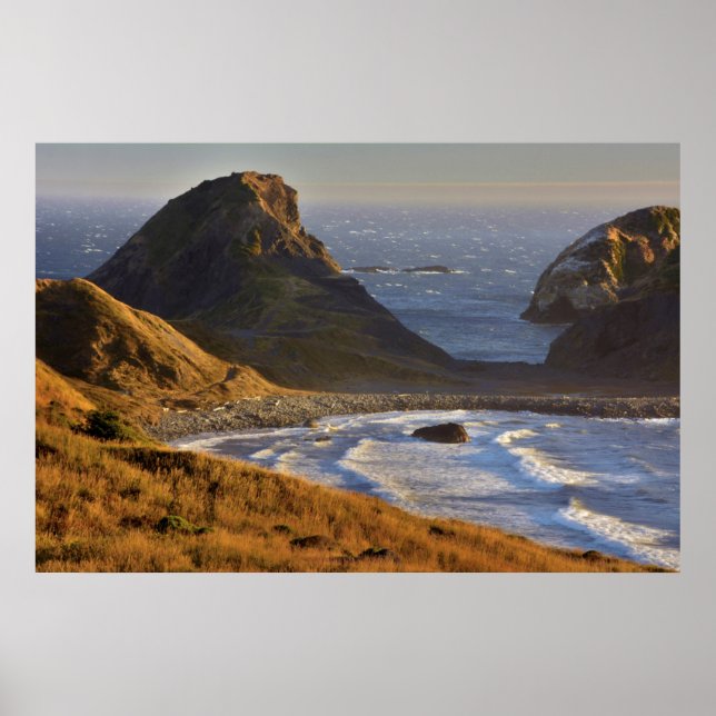 Solnedgång, havsabborre, isters, Oregon Kusten Poster (Framsidan)