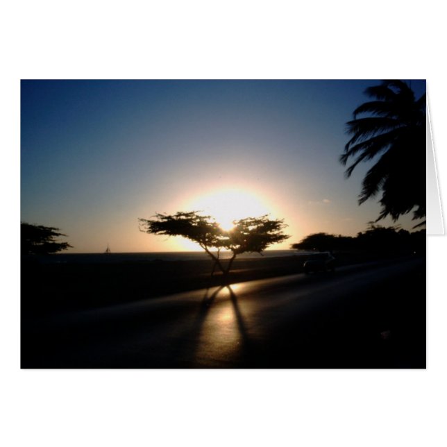 Solnedgång i Aruba Hälsningskort (Framsidan Horizontal)