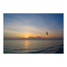 Solnedgång i buken 195