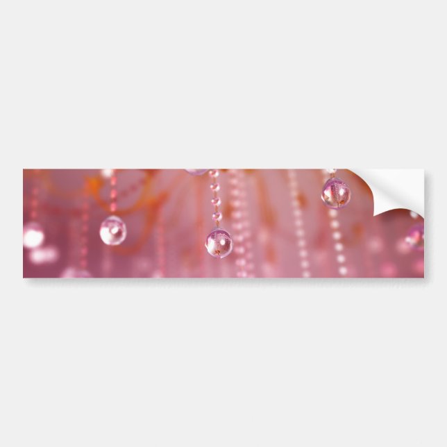 Solnedgång i Crystal Bumper Sticker Bildekal (Framsidan)