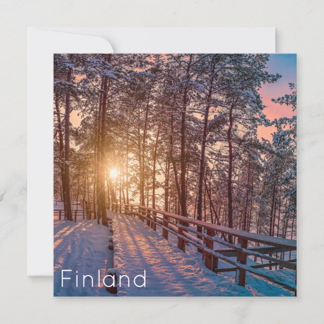 Solnedgång i gräs-snöskog med sol-stråle (Framsida)