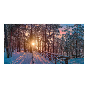 Solnedgång i gräs-snöskog med sol-stråle fototryck
