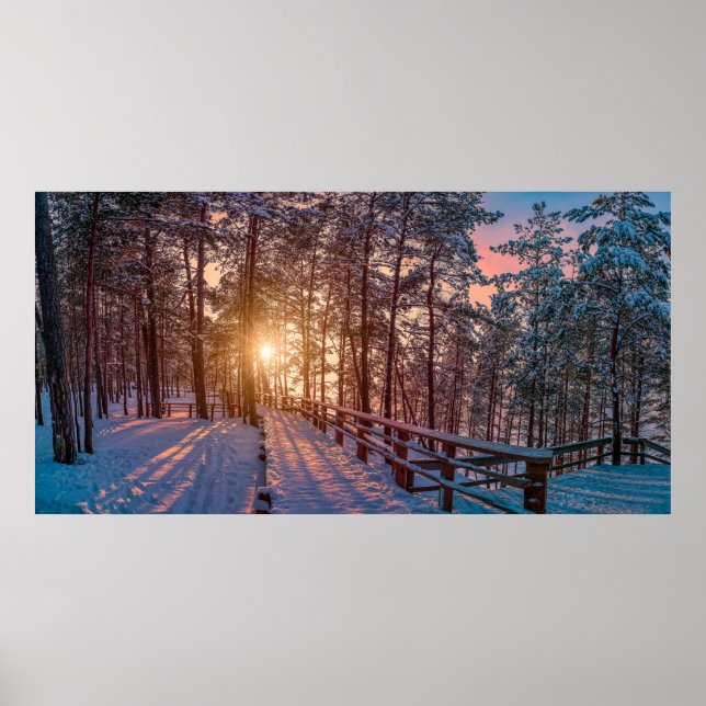 Solnedgång i gräs-snöskog med sol-stråle poster (Framsidan)