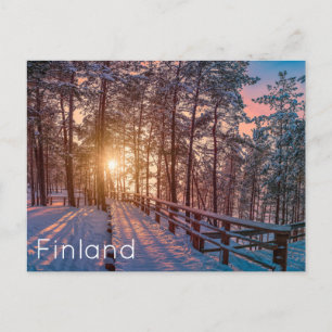 Solnedgång i gräs-snöskog med sol-stråle vykort