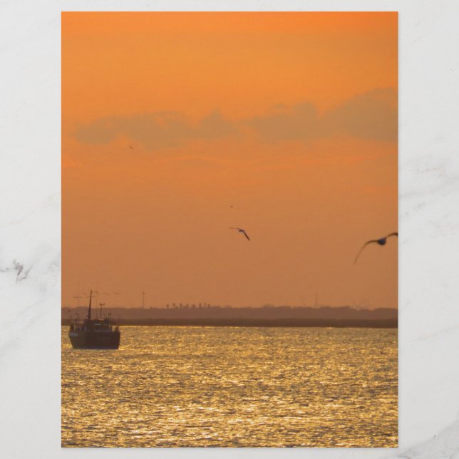 Solnedgång i hamn (Framsida)