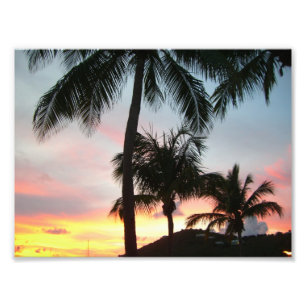 Solnedgång i Handflatan Tropical Ligcape Photograp Fototryck