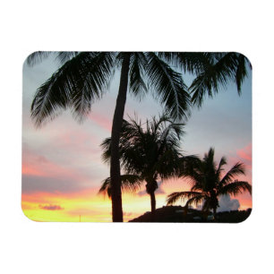 Solnedgång i Handflatan Tropical Ligcape Photograp Magnet