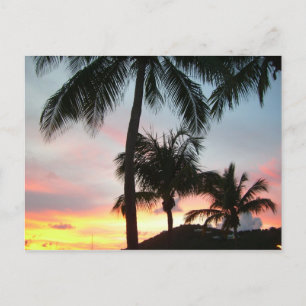 Solnedgång i Handflatan Tropical Ligcape Photograp Vykort