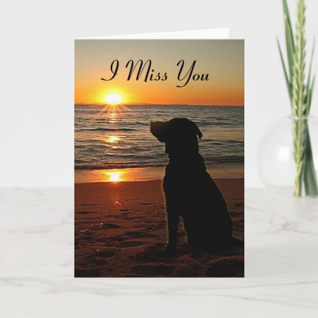 Solnedgång i Hund på båset - miss You Card Kort (Framsida)