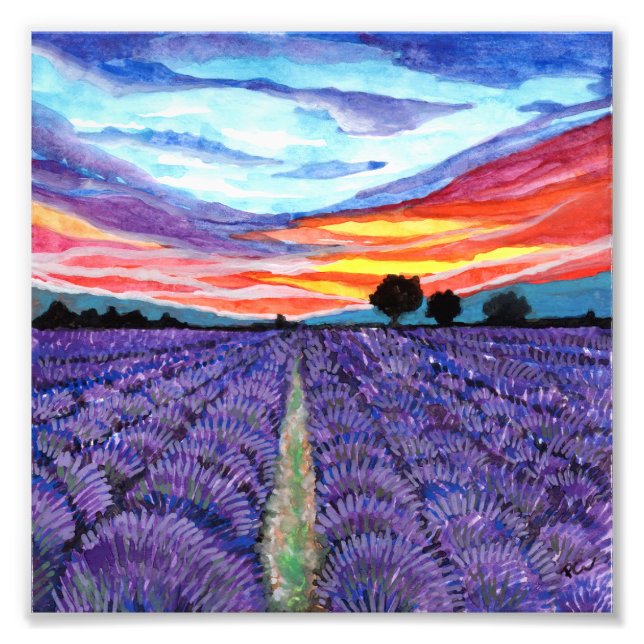 Solnedgång i Lavender Fält Fototryck (Framsidan)