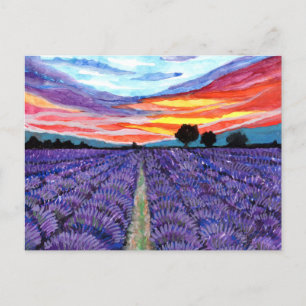 Solnedgång i Lavender Fält Vykort