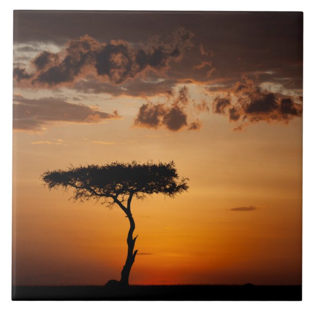 Solnedgång i Masai Mara Kakelplatta (Framsidan)