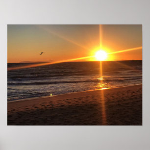 Solnedgång i Newport Beach, Kalifornien Poster