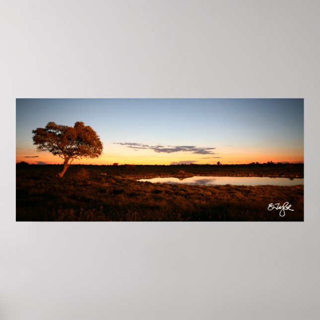 Solnedgång i Okakuejo Poster (Framsidan)