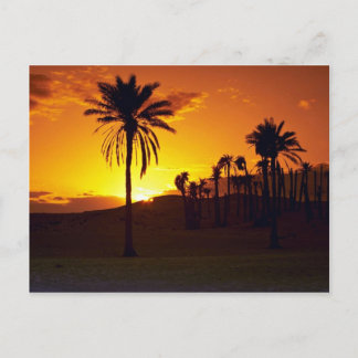 Solnedgång i öknen, Sahara, tunisiska öknen Vykort