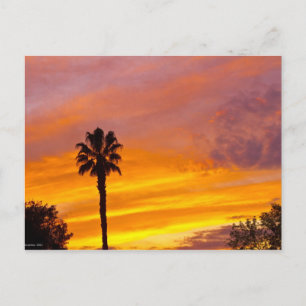 Solnedgång i Palm Springs Vykort