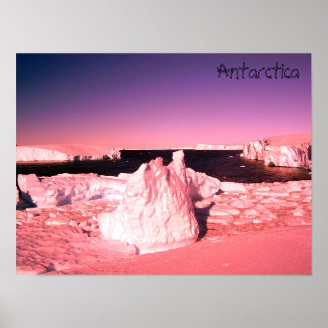 Solnedgång i rosa i antarktiska fotoglaciärer poster (Framsidan)