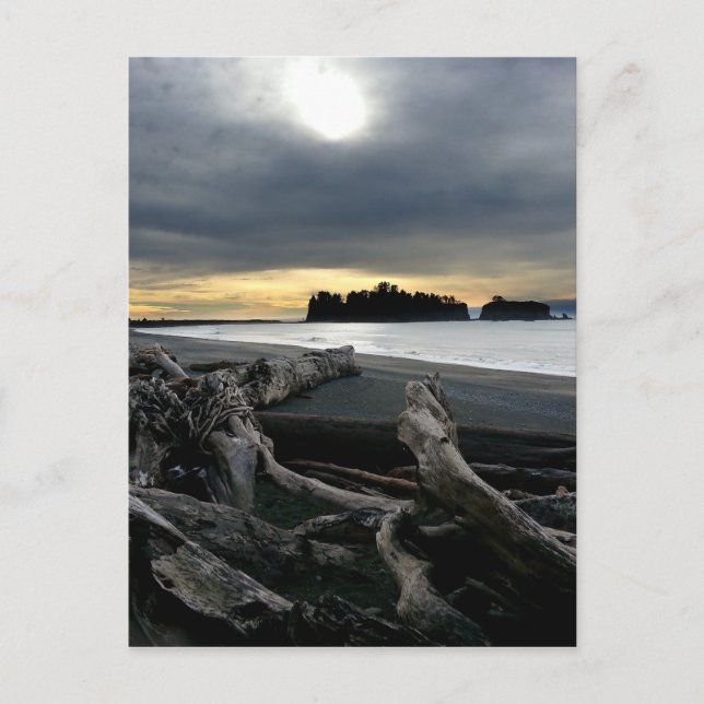 Solnedgång i Ruby Beach Olympic nationalpark Vykort (Framsida)