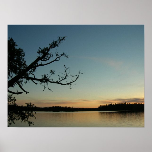 Solnedgång i Sawbill Sjö Poster (Framsidan)