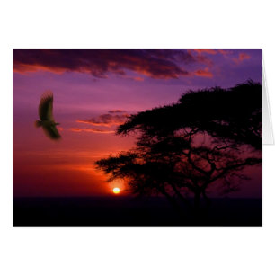 Solnedgång i Serengeti, Tanzania Hälsningskort