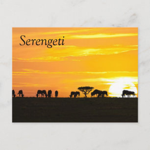 Solnedgång i Serengeti Vykort