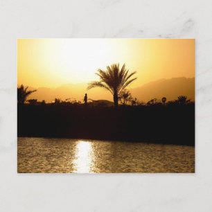 Solnedgång i Sharm el Sheikh, Egypten Vykort