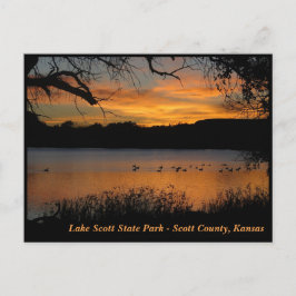 Solnedgång i Sjö Scott State Park - Geese på Sjö Vykort