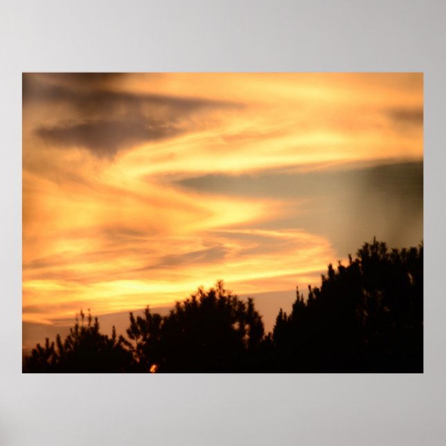 Solnedgång i skogens Poster (Framsidan)