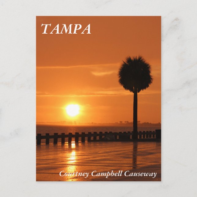 Solnedgång i Tampa Courtney Campbell Causeway Vykort (Framsida)