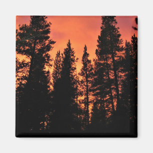 Solnedgång i Tuolumne Meadows, Yosemite, CA Magnet
