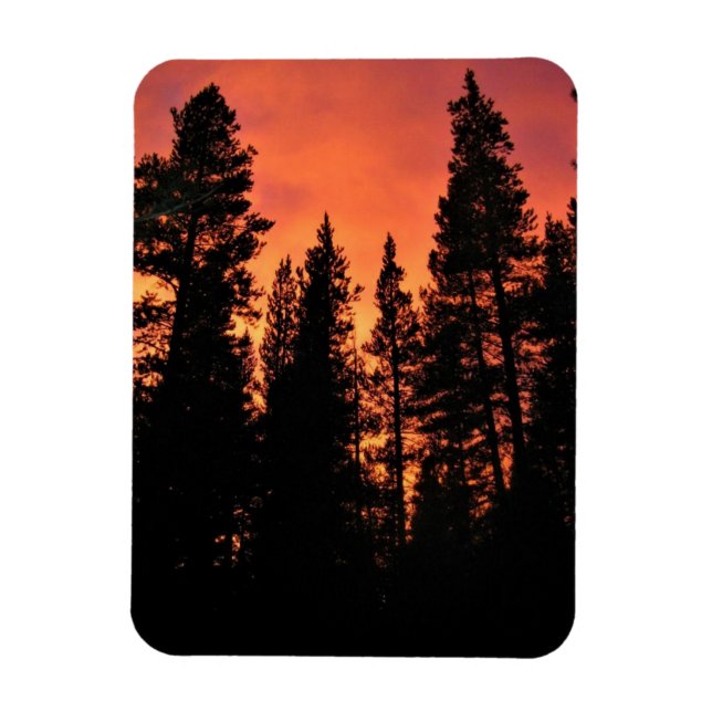 Solnedgång i Tuolumne Meadows, Yosemite, CA Magnet (Vertikal)