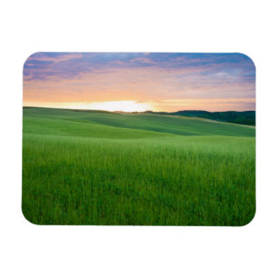 Solnedgång i Tuscany fotomagnet Magnet