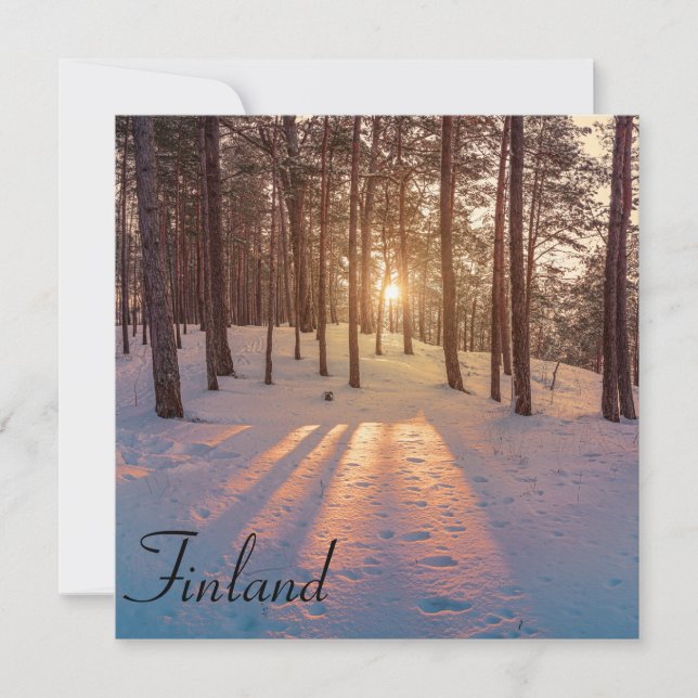 Solnedgång i vinterskogen i gräs (Framsida)