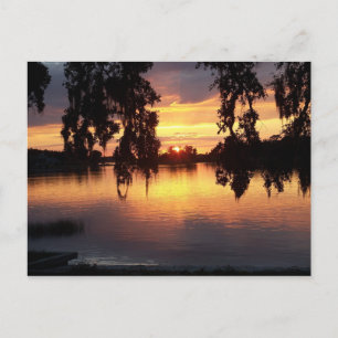 Solnedgång i WIndermere, Florida-vykort Vykort