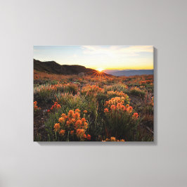 Solnedgång i Wyoming Indian Paintbrush Mountains Canvastryck