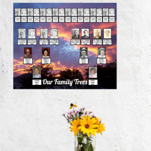 Solnedgång Lila Guld Photo Two Family Träd Poster