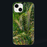 Solnedgång Lit Handflatan Fronts Tropical<br><div class="desc">I kärlek påverkas allt av solnedgång. Bild är fullt av handflatan fronder med solnedljus. Man får inte bara gröntens tropiska nyanser utan även varma gulter och guld. Kolla in vår butik om du vill ha fler beachy-foton från handflatan träd. Bild är också ett exempel på tapet "Sunset Lit Handflatan Fronds"...</div>