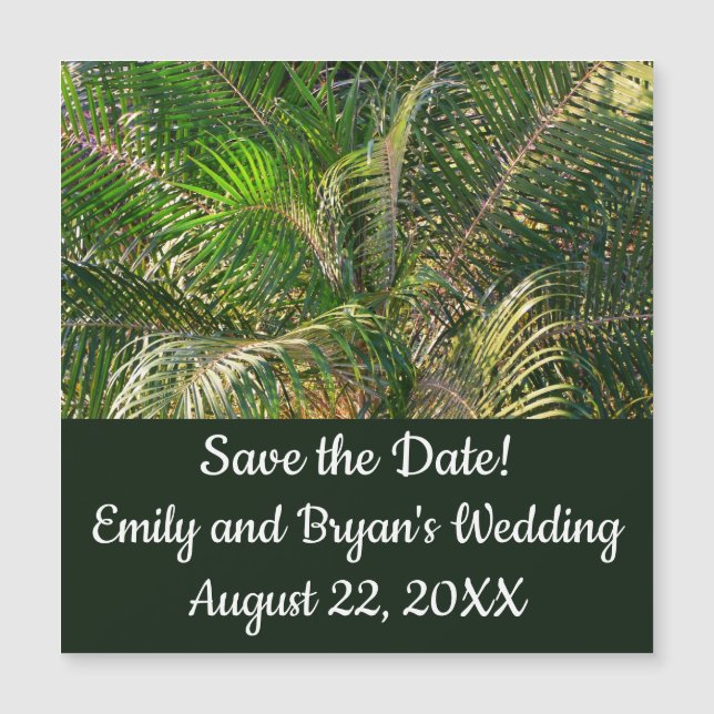 Solnedgång Lit Handflatan Fronts Tropical (Framsida)