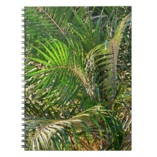 Solnedgång Lit Handflatan Fronts Tropical Anteckningsbok Med Spiral