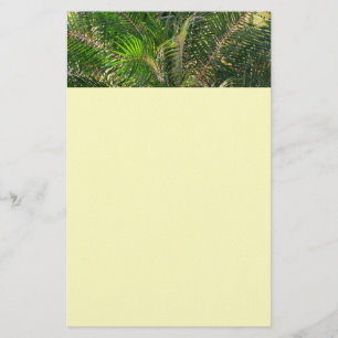 Solnedgång Lit Handflatan Fronts Tropical Brevpapper