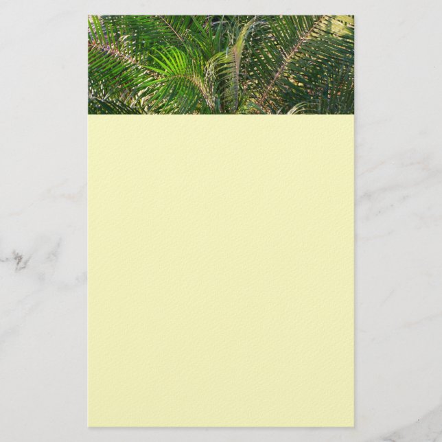Solnedgång Lit Handflatan Fronts Tropical Brevpapper (Framsida)