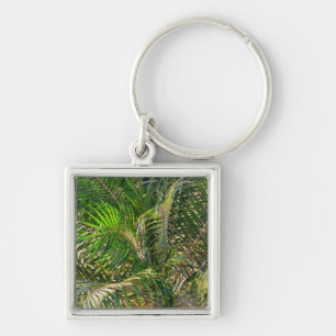 Solnedgång Lit Handflatan Fronts Tropical Fyrkantig Silverfärgad Nyckelring