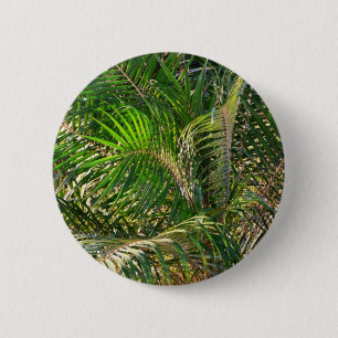 Solnedgång Lit Handflatan Fronts Tropical Knapp