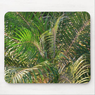 Solnedgång Lit Handflatan Fronts Tropical Musmatta