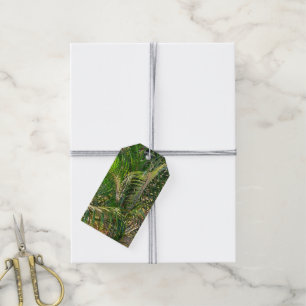 Solnedgång Lit Handflatan Fronts Tropical Presentetikett