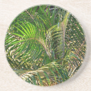 Solnedgång Lit Handflatan Fronts Tropical Underlägg