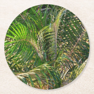 Solnedgång Lit Handflatan Fronts Tropical Underlägg Papper Rund